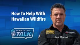 The Hawaiian Fire Crisis: How to Help