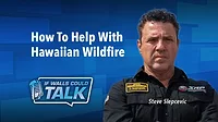 The Hawaiian Fire Crisis: How to Help