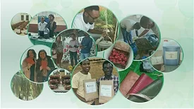 2023 Wege Prize Collage
