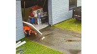 Michigan Police Officer Rescues Man Trapped Under Drywall