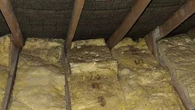 A picture of rotted and moldy insulation in attic rafters