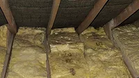 UK Insulation GettyImages-519455613-780x439.jpg A picture of rotted and moldy insulation in attic rafters