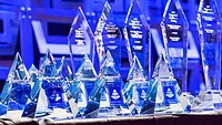 A picture of various trophies from past DBIA awards