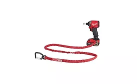 Lanyard
