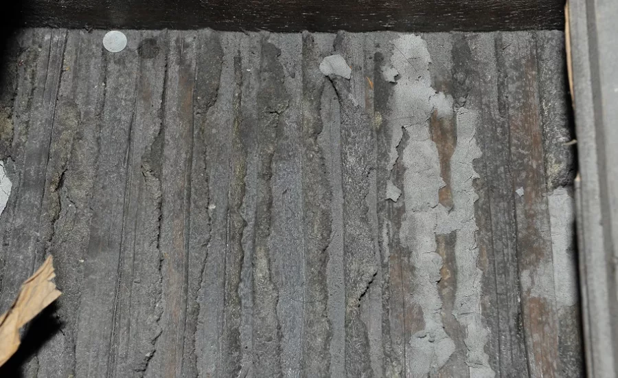 HPCS Water Damage Evidence 2