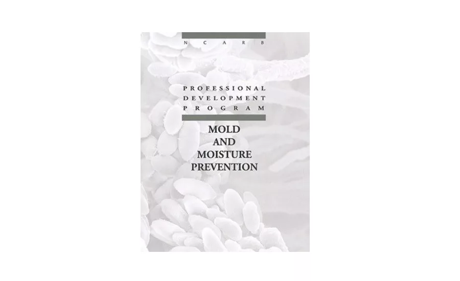 Moisture and Mold2
