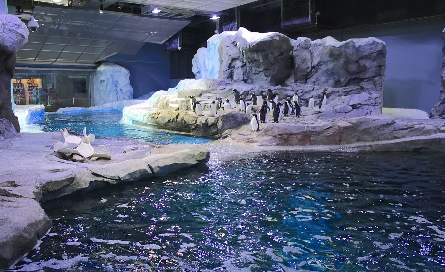 Detroit Zoo Penguin Exhibit 04