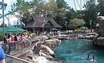 SeaWorld3