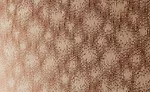 carnegie_02