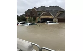 Harvey2