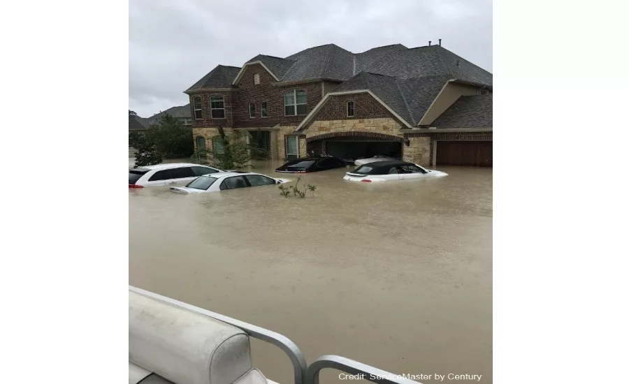Harvey2