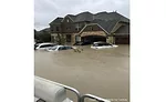 Harvey2