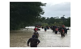 Harvey3