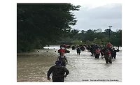 Harvey3