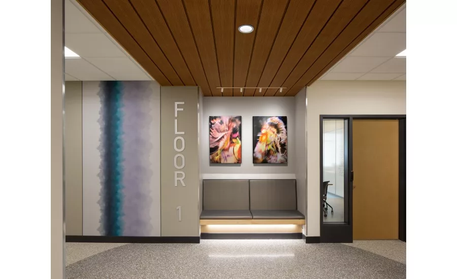 madison college 3
