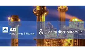 AD and Delta merger