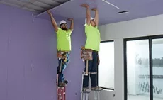 NGC Ceiling board