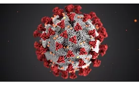 coronavirus