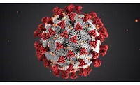 coronavirus
