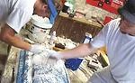 plaster restoration