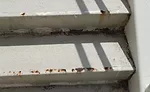 Concrete or Stucco Coating
