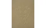 plaster products