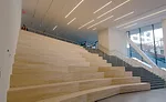 Museum of Modern Art