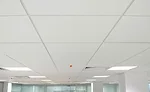 acoustical ceilings