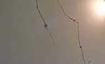 plaster cracking
