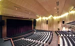 acoustical ceilings