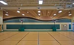 acoustic panels