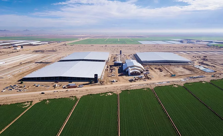 Arizona's New State-of-the-Art Dairy