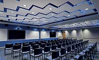 Metal ceiling panels