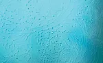 plaster textures