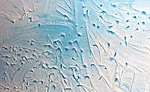plaster textures