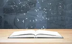 Plaster vocabulary