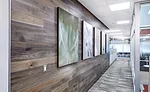 Optimized Acoustics
