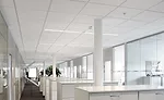Optimized Acoustics