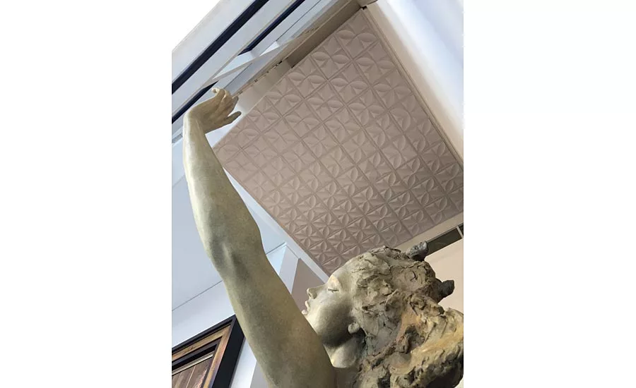 Thermoformed Ceilings