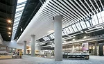 Ceiling trellis systems