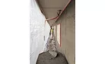 stucco trends