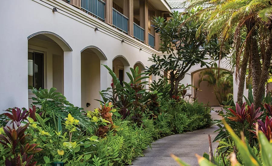 island real estate renovation