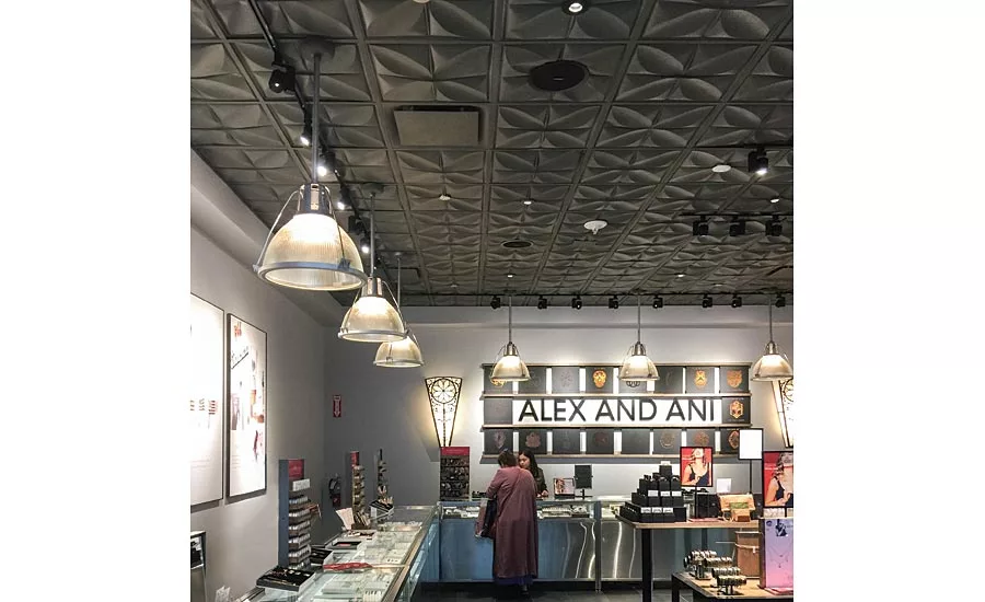 Thermoformed Ceiling Panels