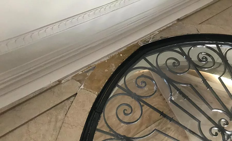 egg and Dart plaster molding that