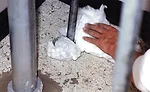 Packing Firestop
