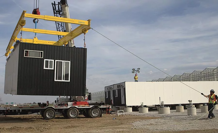 Crane 2